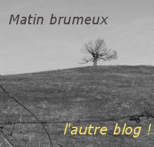 Matin brumeux