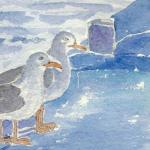 Mouettes