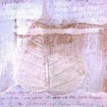 feuille
